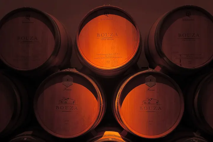 Bodega Viña Edén